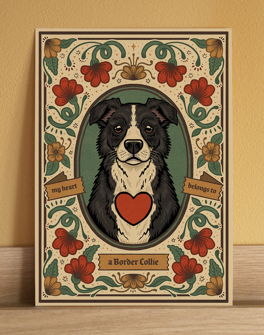 Border Collie | Fine Art Print