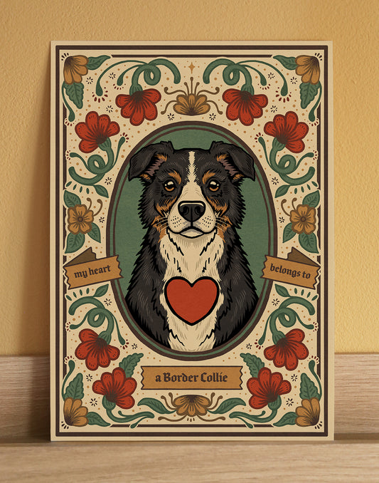 Border Collie | Fine Art Print | Tri-Colour