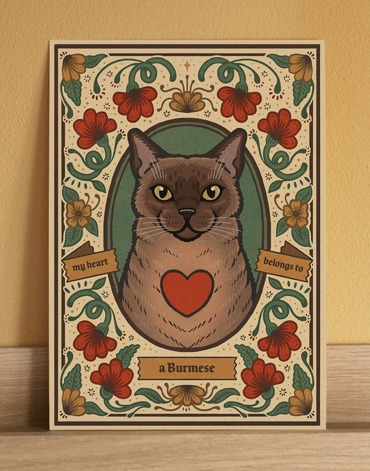Burmese Cat Art Print