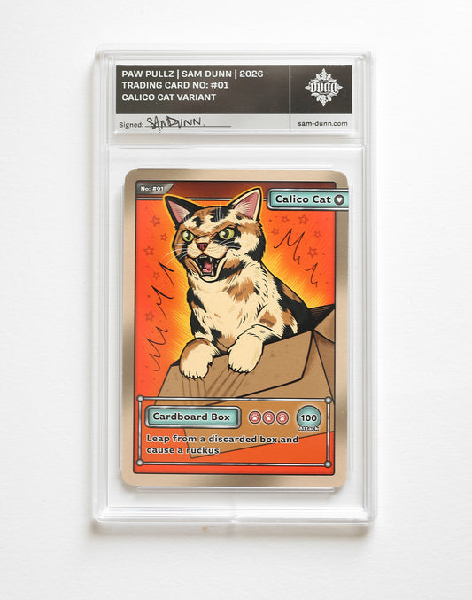 Calico Cat Trading Card | In Protective Slab Case
