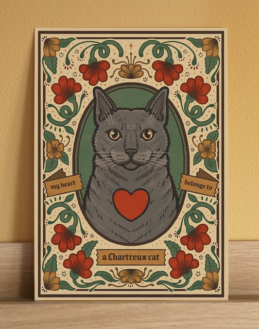 Chartreux Cat | Fine Art Print | Grey