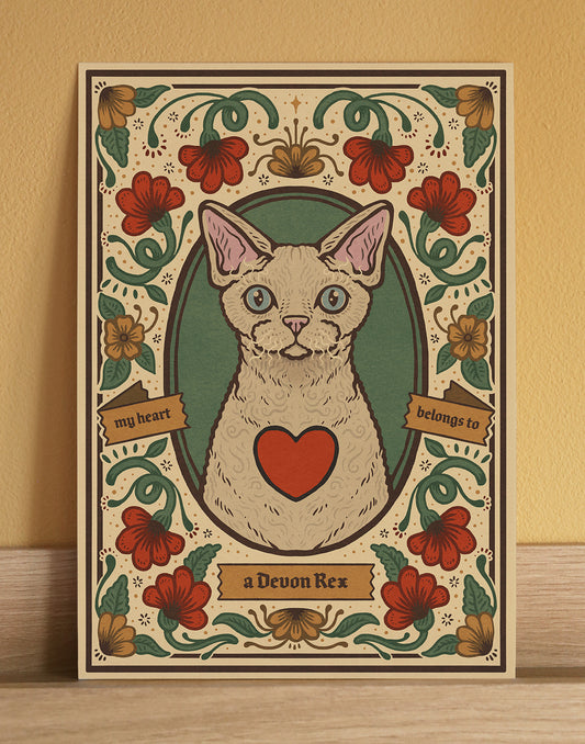 Devon Rex Cat Art Print