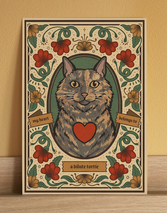 Long Haired Dilute Tortoiseshell Cat | Fine Art Print