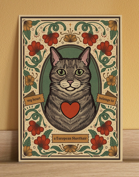 European Shorthair Cat | Fine Art Print | Grey