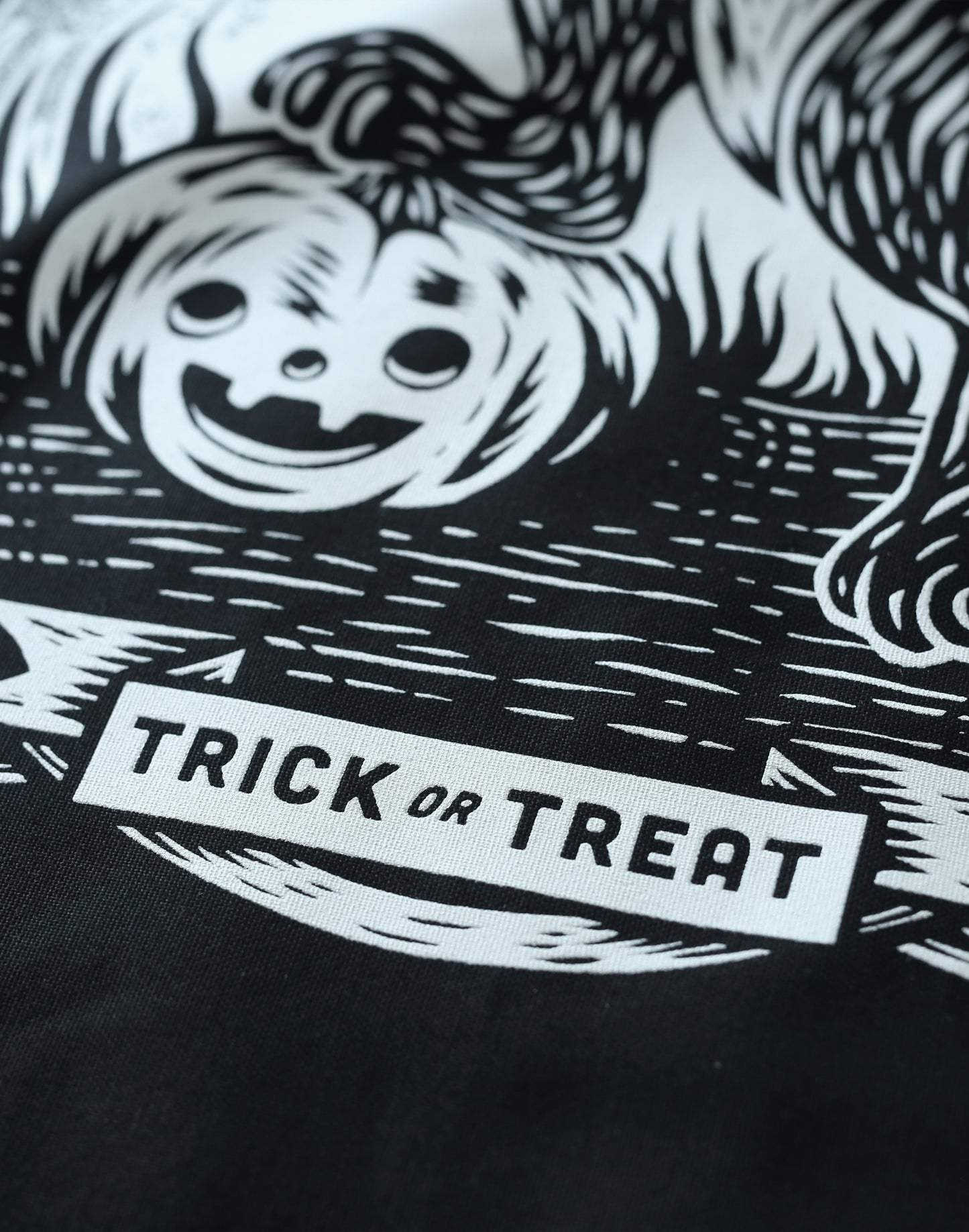 Trick or Treat Kitty | Halloween Wall Flag