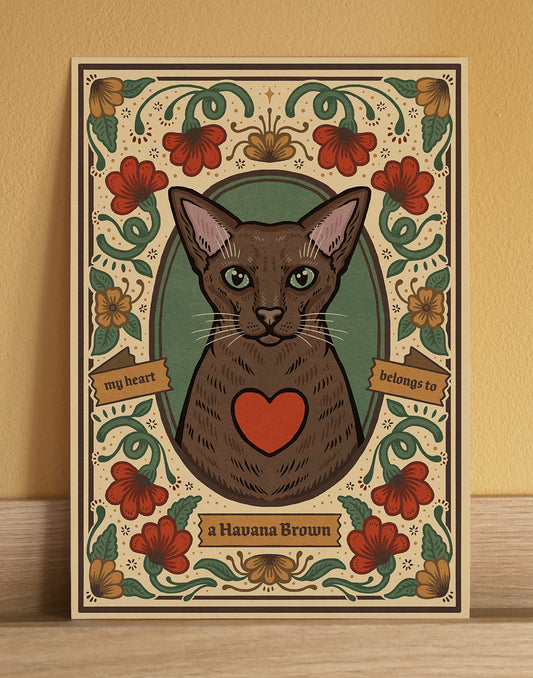 Havana Brown Cat Art Print