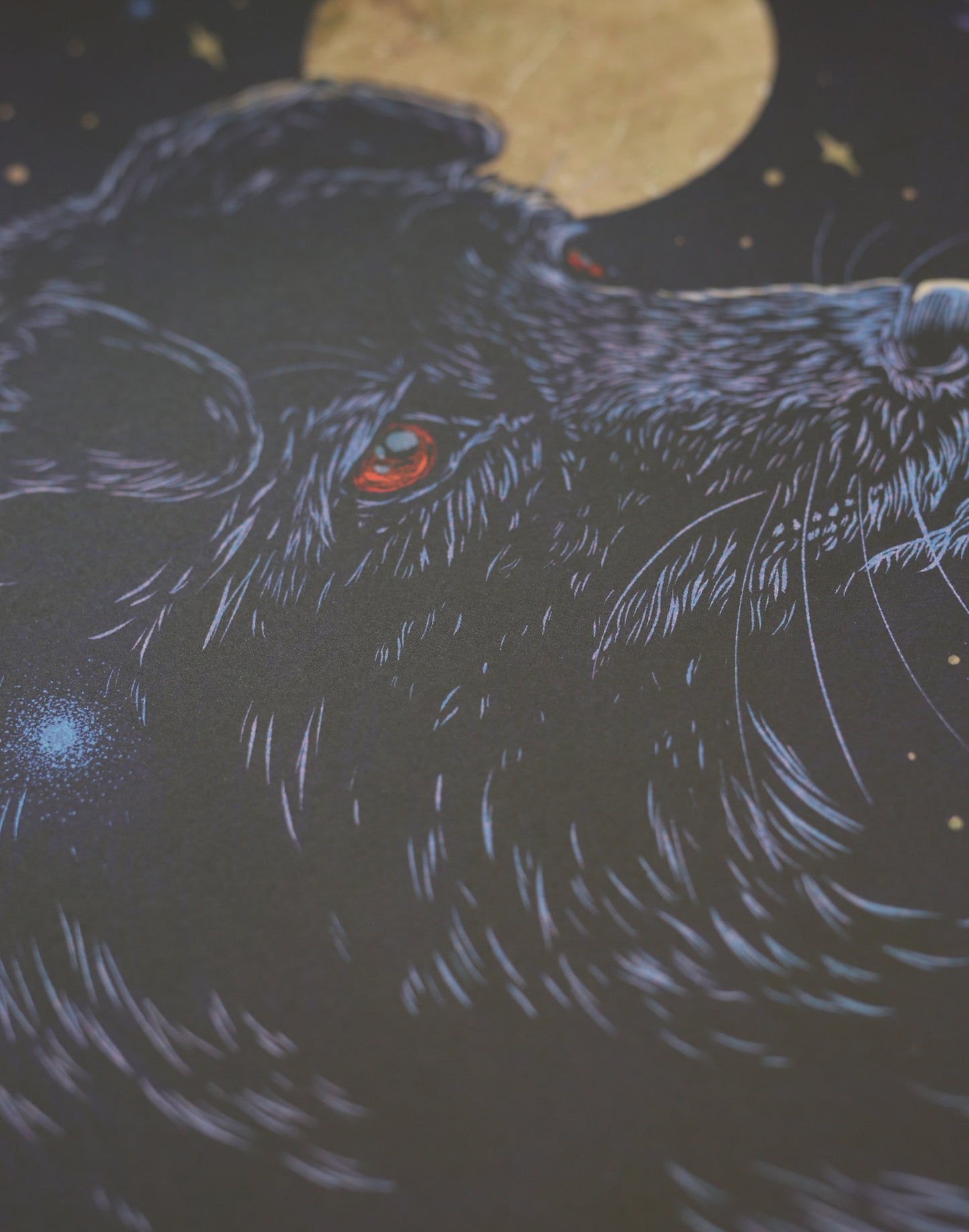 Moonlight Art Print | Damaged