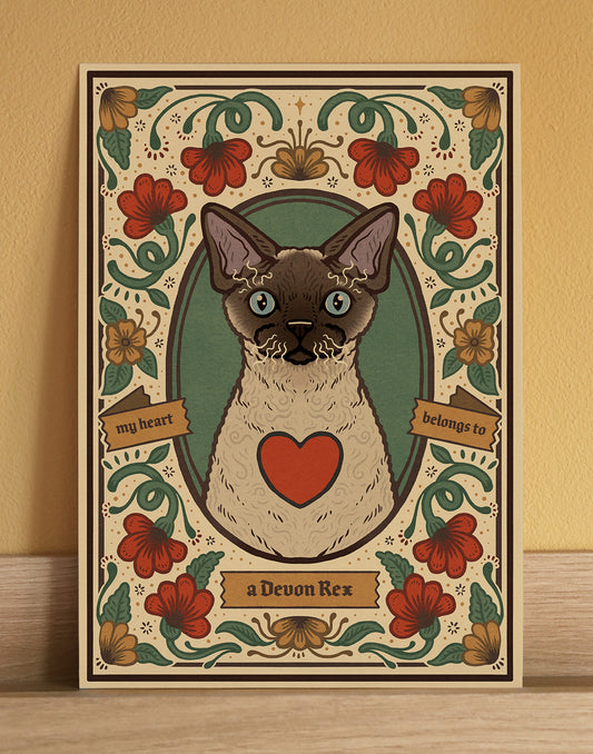 Devon Rex Cat | Fine Art Print | Seal Point