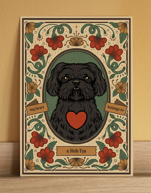 Shih Tzu | Fine Art Print | Black