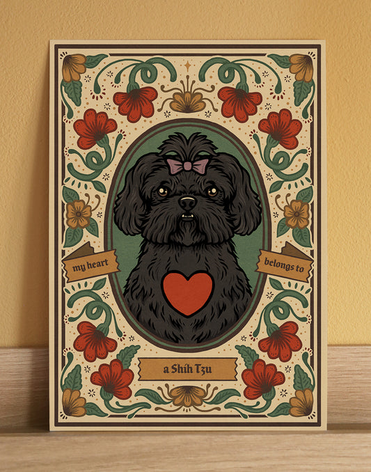 Shih Tzu | Fine Art Print | Black