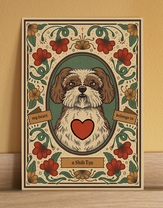 Shih Tzu | Fine Art Print | Gold and White