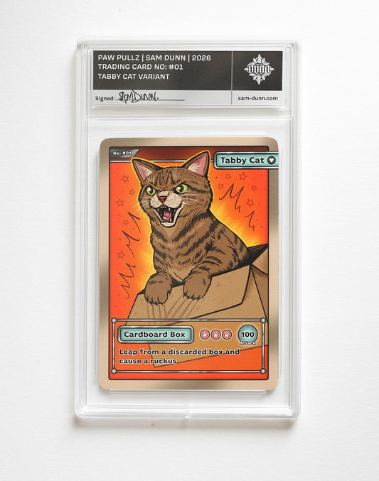 Tabby Cat Trading Card | In Protective Slab Case
